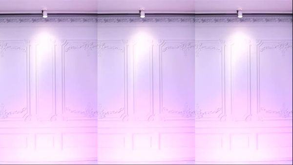 240104-muse62 (20)