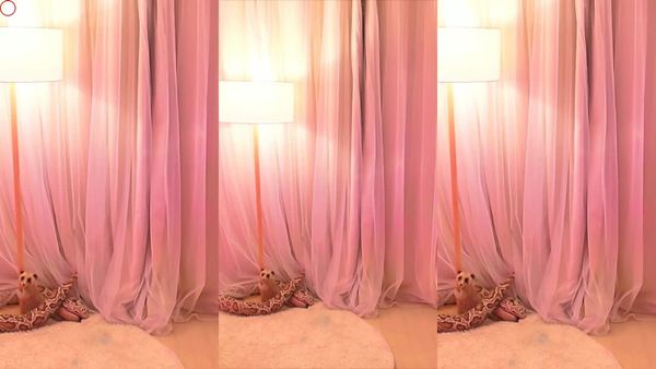 240123格蕾颖 (2)
