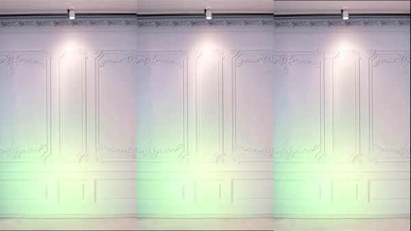 240411-muse62 (18)