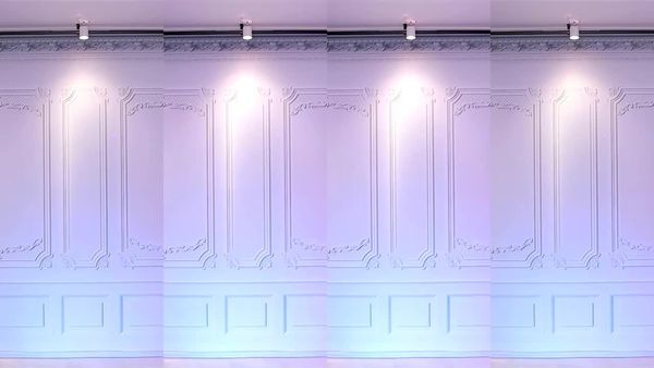 240426-muse62 (13)