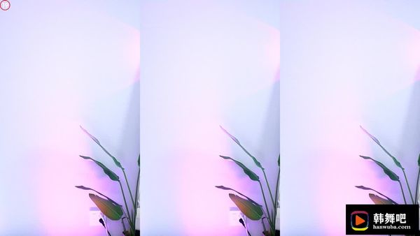 240525薄荷 (2)