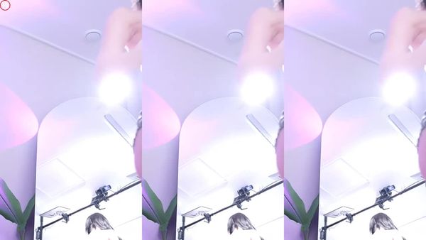 240603薄荷 (4)
