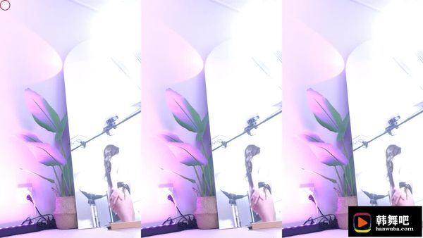 240603薄荷 (2)