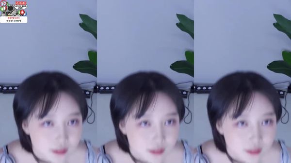 240615薄荷 (1)