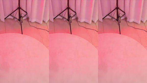 241121斗鱼真真 (1)