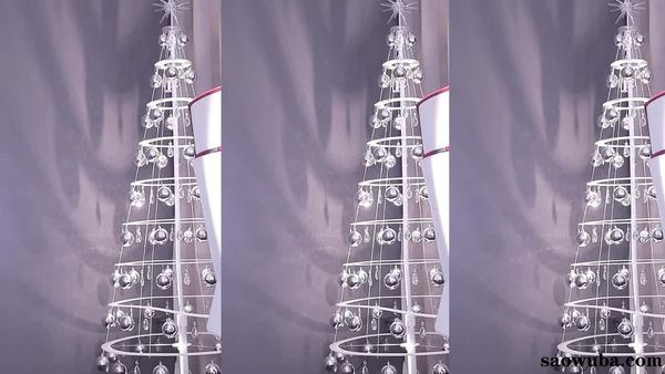 241204虎牙车老板 (4)