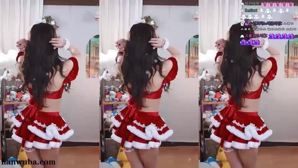 241225-sooflower (3)