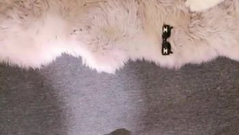 250313抖音芭比 (5)