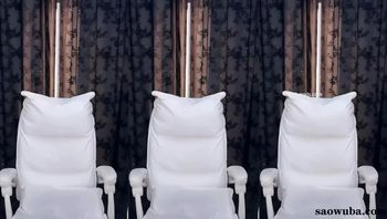 250420虎牙元气西西定制 (2)