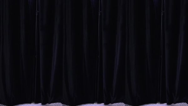 250321虎牙柳清清 (9)