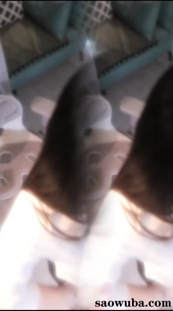 250529YY兮来钱 (1)