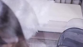 250530YY小嫣然 (2)