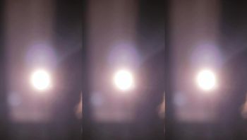 250627斗鱼考拉 (1)