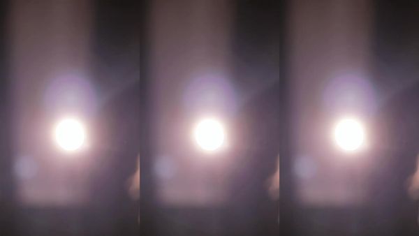 250627斗鱼考拉 (1)