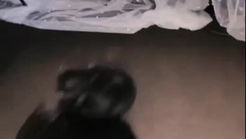 250728YY小啾啾 (3)