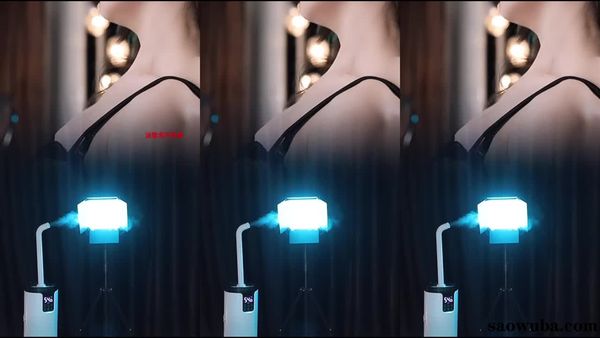 250806斗鱼黎一定制 (8)