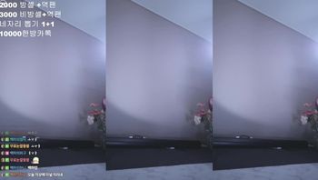 250901贝卡 (2)