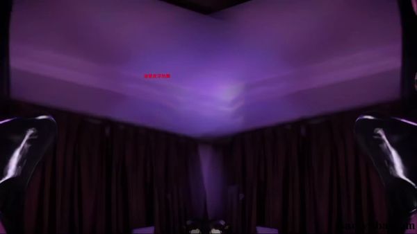 250827斗鱼黎一定制 (10)