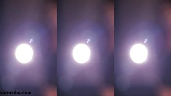 250904斗鱼考拉 (2)