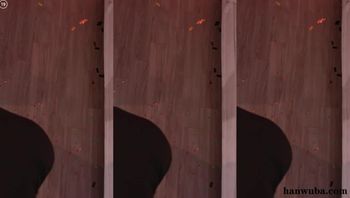 251123-golaniyule0 (2)