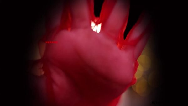 251119网易CC小燃燃真空定制