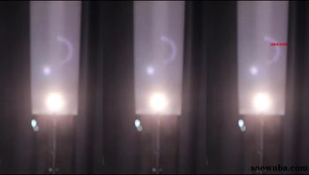 260113斗鱼考拉定制