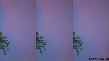 260401-golaniyule0 (2)