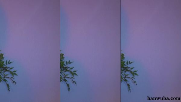 260401-golaniyule0 (2)